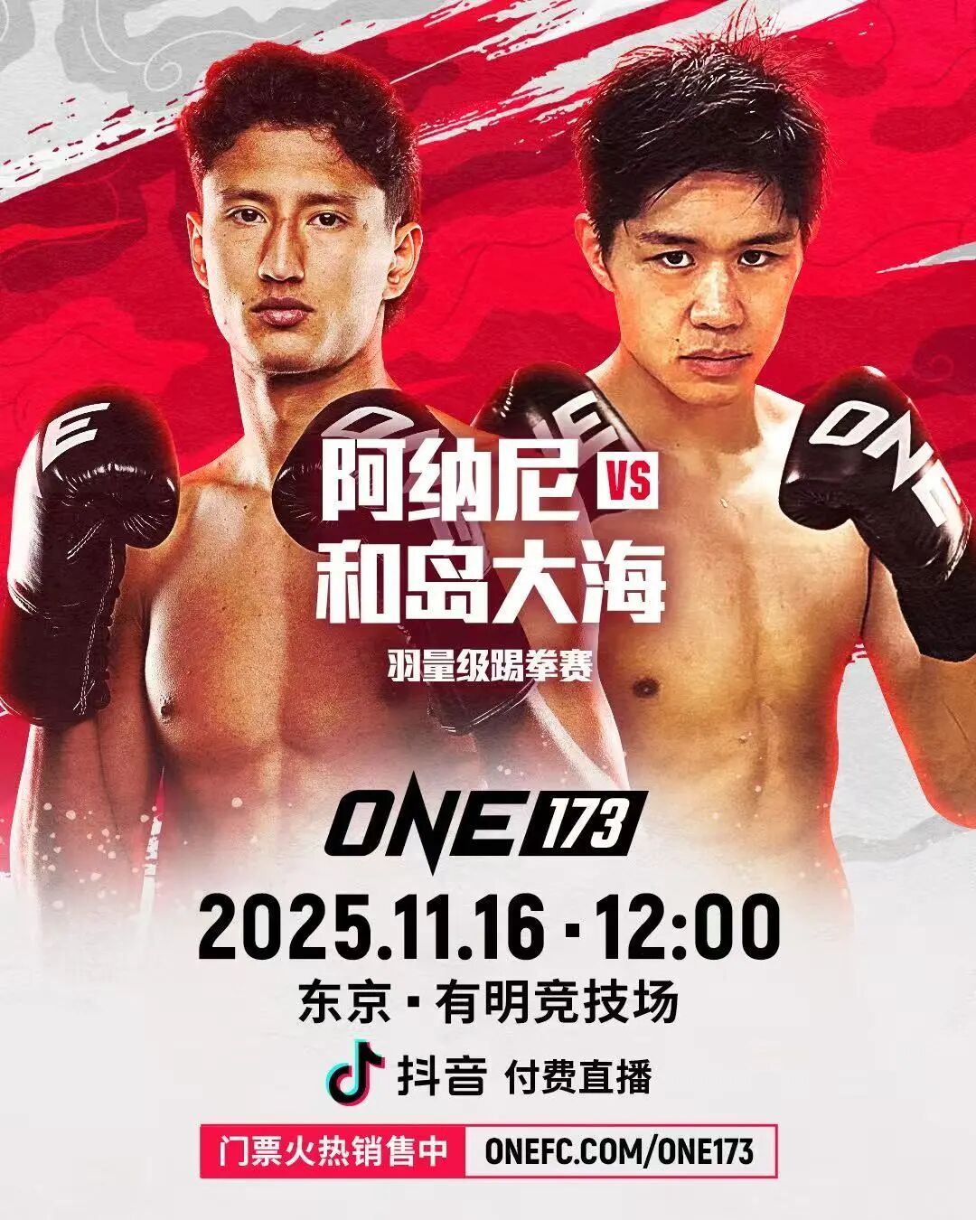 阿纳尼迎战和岛大海