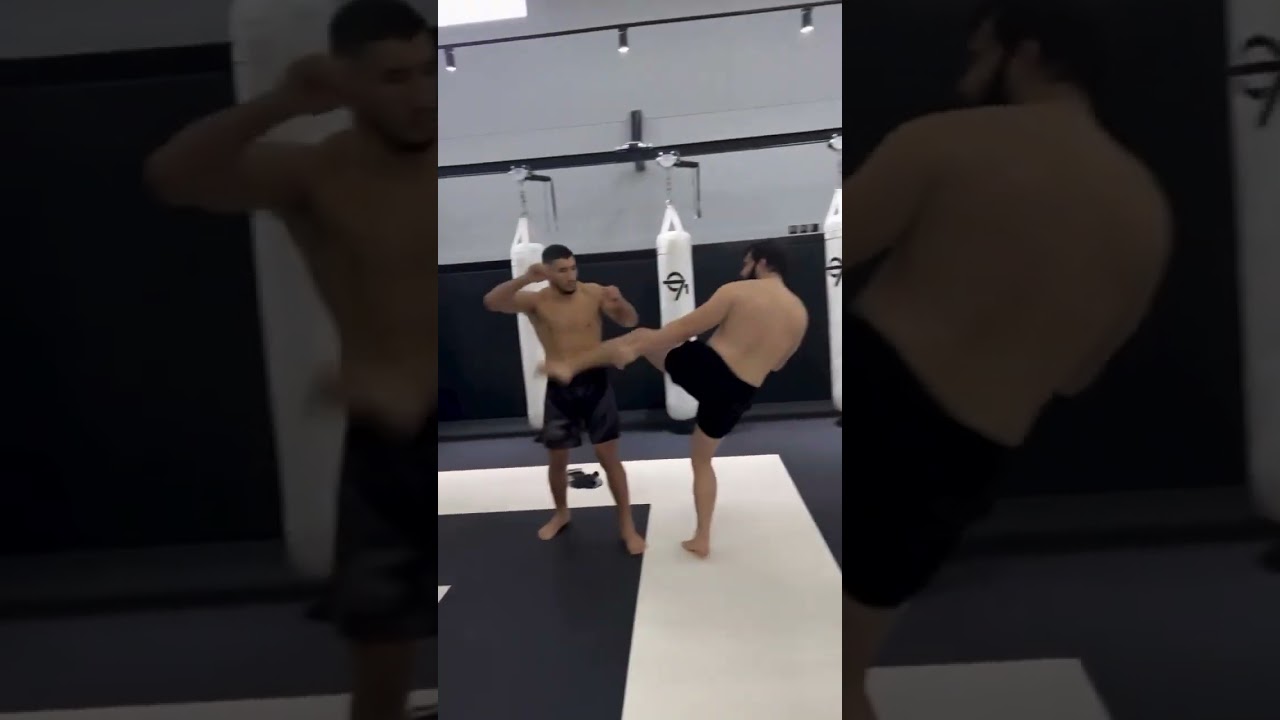 When you realize how valuable life is  Reug Reug runs it back with Anatoly Malykhin at ONE 173!