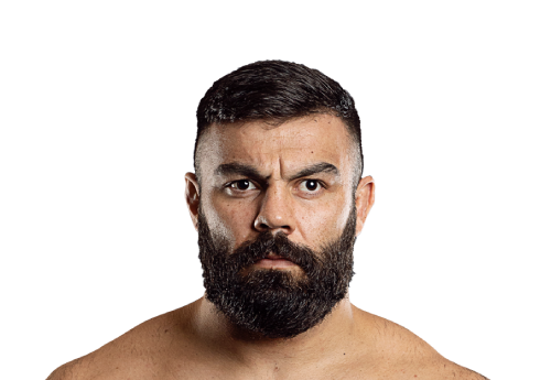 Amir_Aliakbari avatar 500x345 2