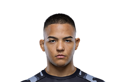 Diogo_Reis Avatar 500x345