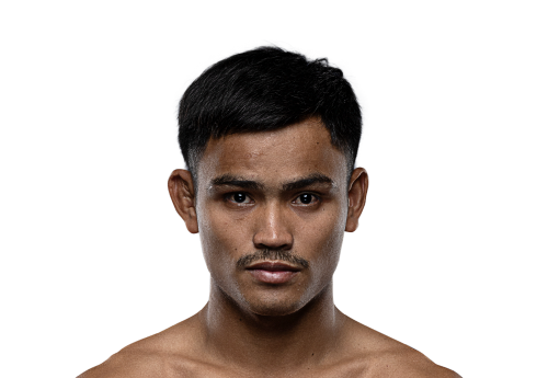 Saksri avatar 500x345