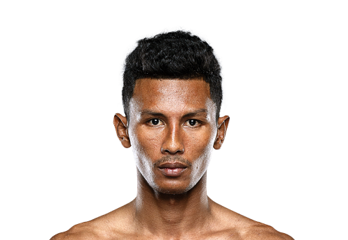 Sanit Avatar 500x345